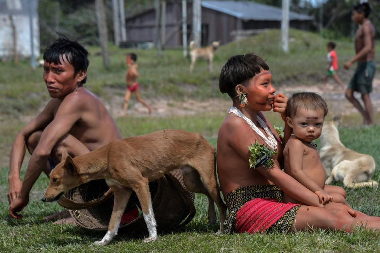 Virus poses cultural threat to Brazil's Amazon tribes