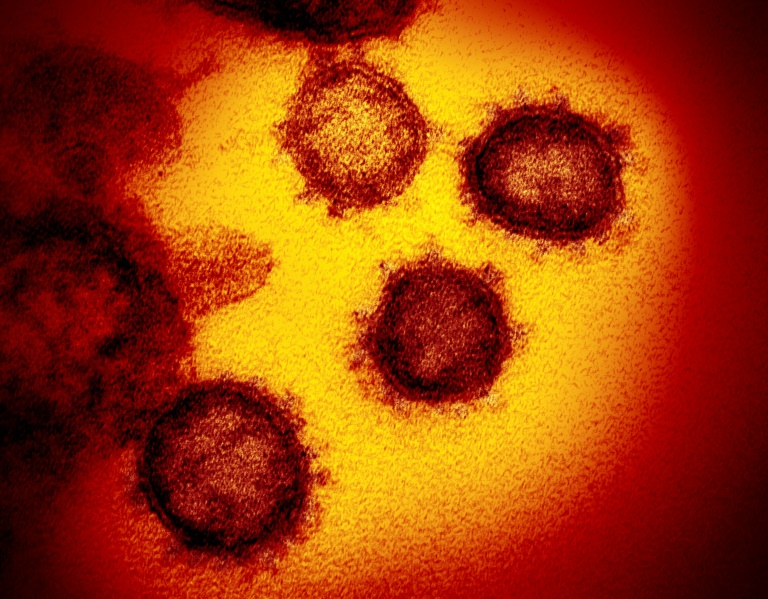 A 30-year-old man from Texas died from the new coronavirus after attending a A 30-year-old man from Texas died from the new coronavirus after attending a