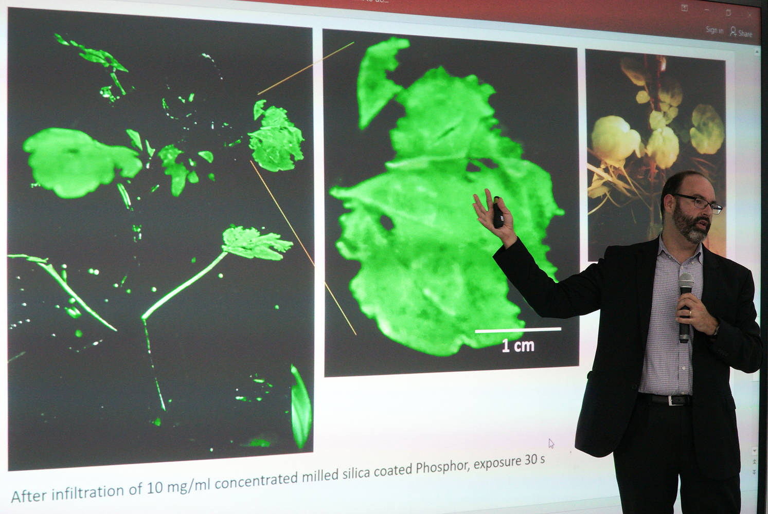 Bangkok Post - MQDC applies research in all its projects to serve ...