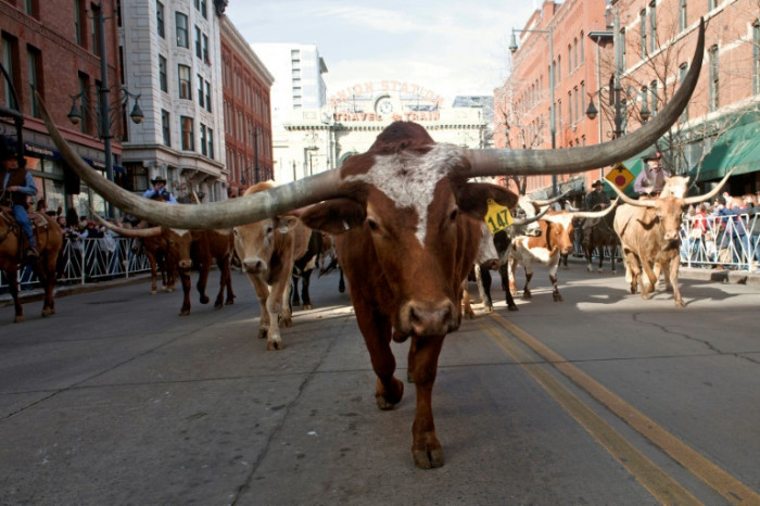 G20 carbon 'food-print' highest in meat-loving nations: report