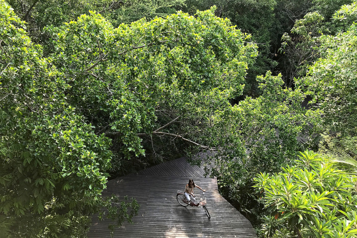 Bangkok Post Exploring Bangkok S Green Lung