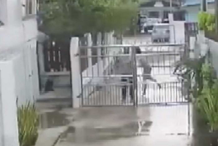 Female Army Captain Charged In Knife Attack