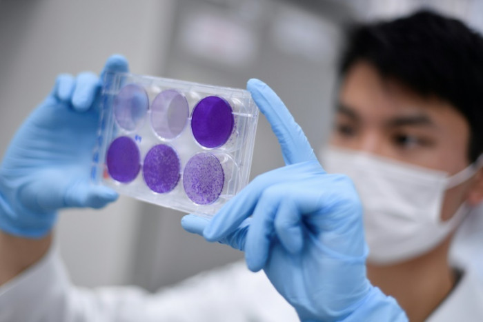 Bangkok Post - Coronavirus death toll passes 900,000 worldwide