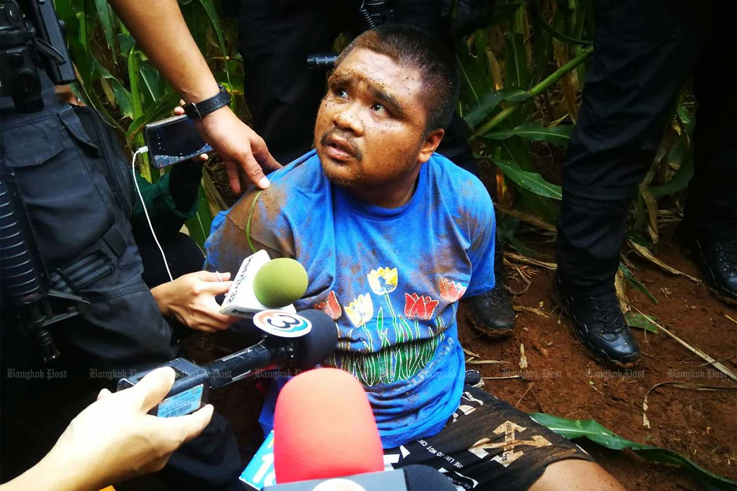 Suspect Arnon Kiram, 21, is captured in a corn field near his house in Tha Luang district of Lop Buri yesterday. (Photo by Wassayos Ngamkham)