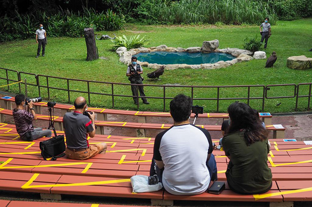 Visitors at the Jurong Bird Park in Singapore on Wednesday. (TODAY photo) Visitors at the Jurong Bird Park in Singapore on Wednesday. (TODAY photo)