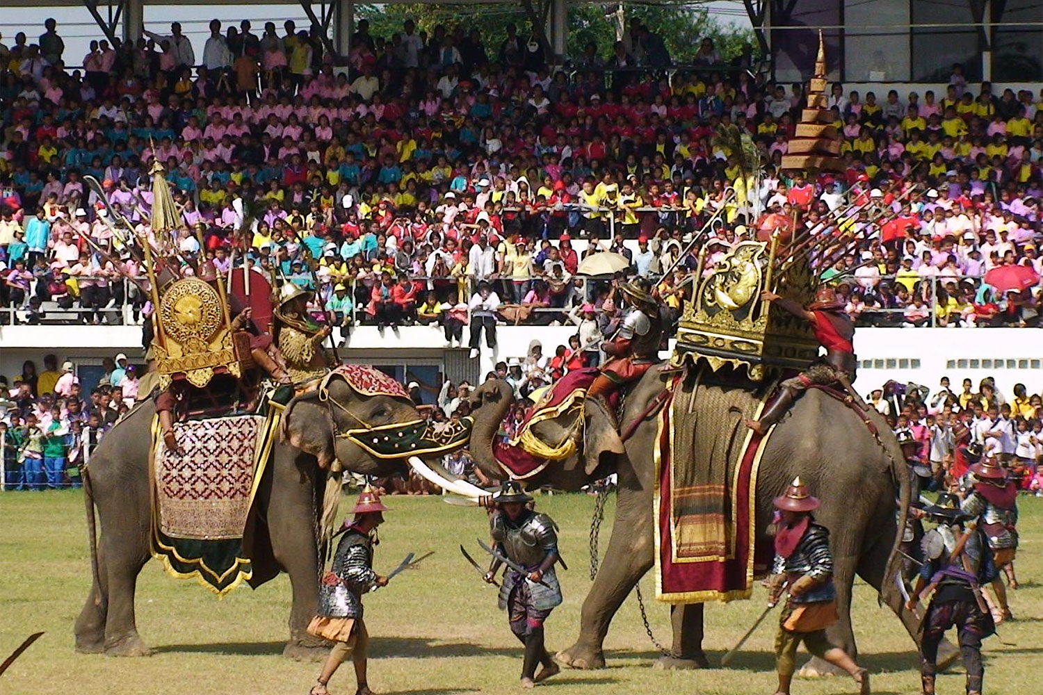 Stampede to Surin for elephants