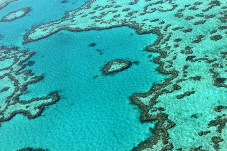 The Great Barrier Reef off the coast of the Australia has suffered coral bleaching The Great Barrier Reef off the coast of the Australia has suffered coral bleaching
