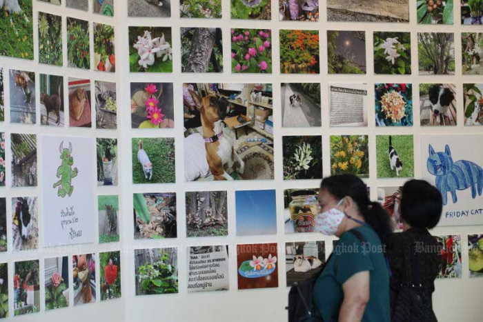 12 imported cases from six countries - Vimarsana News