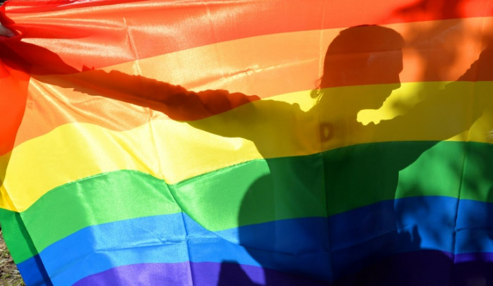Gay rights progress, but same-sex relations still a crime in 69 nations: report - Vimarsana News