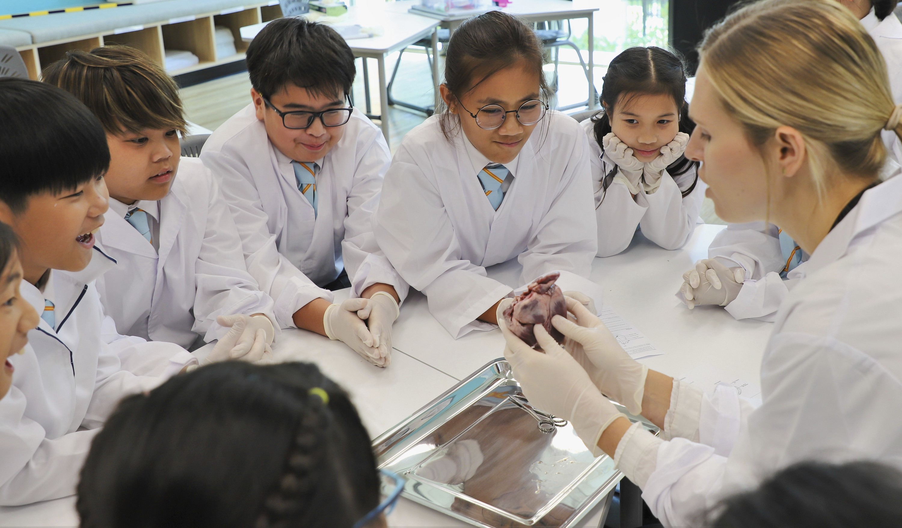 Governor's Distinguished Scholarship1