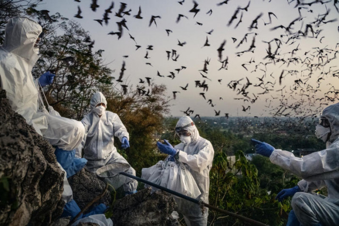 A popular hangout for bats, tourists and now Covid sleuths - Vimarsana News