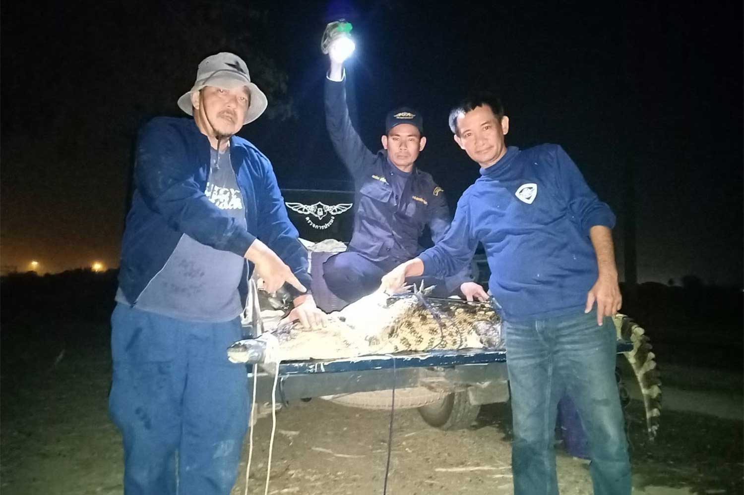 Crocodile captured in Kanchanaburi canal