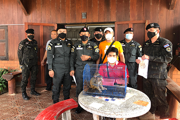 Theeraphol Chanmo (seated) was arrested with two macaques at his house in Phrao district of Chiang Mai on Saturday. (Photo from Natural Resources and Environment Crime Suppression Division)