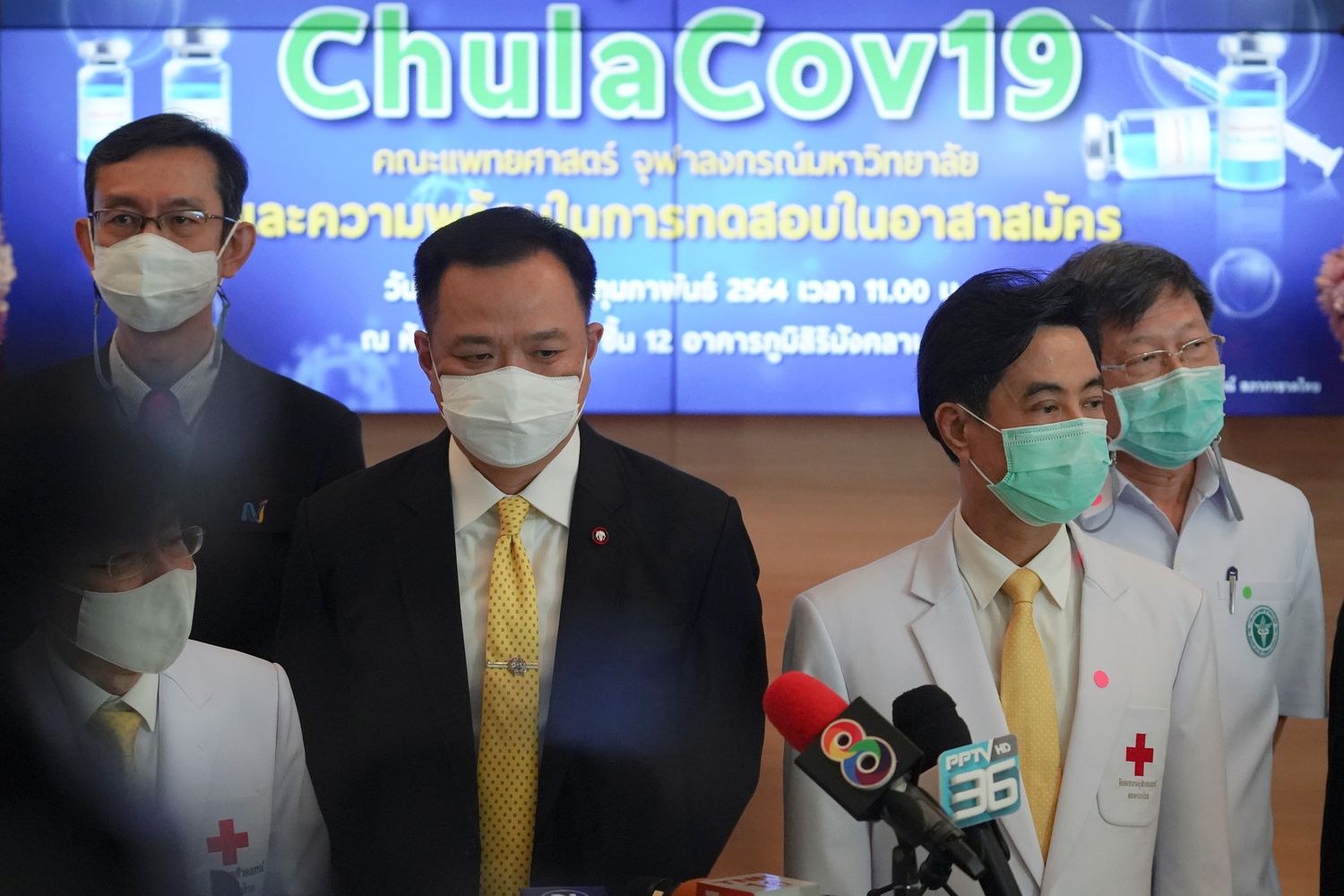 Thai-developed vaccine set to proceed to human trials