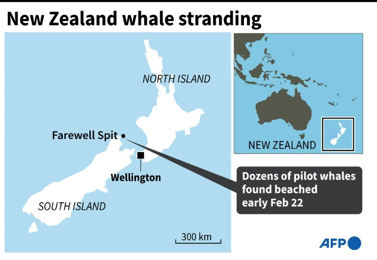 Map of New Zealand locating Farewell Spit where dozens of pilot whales were found beached early Monday. Map of New Zealand locating Farewell Spit where dozens of pilot whales were found beached early Monday.