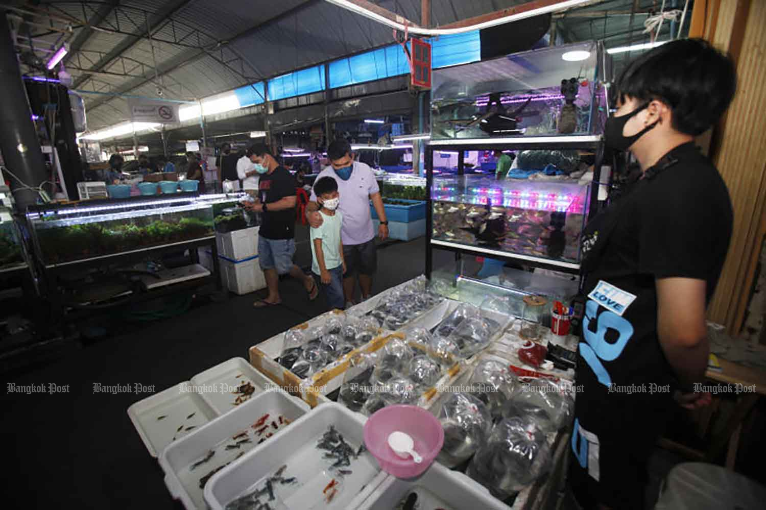 Customers visit pet shops at Chatuchak market in Bangkok last month. (Photo by Nutthawat Wicheanbut)