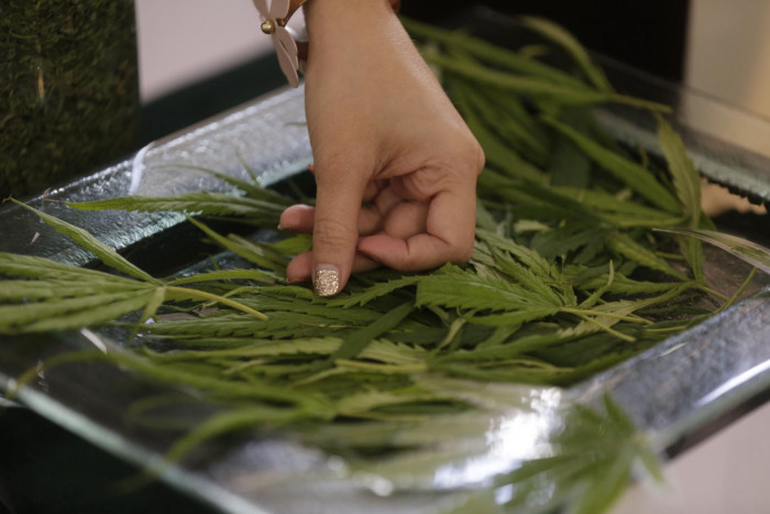 Hemp goes from zero to economic hero - Vimarsana News