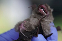 Blame dismissed Blame dismissed