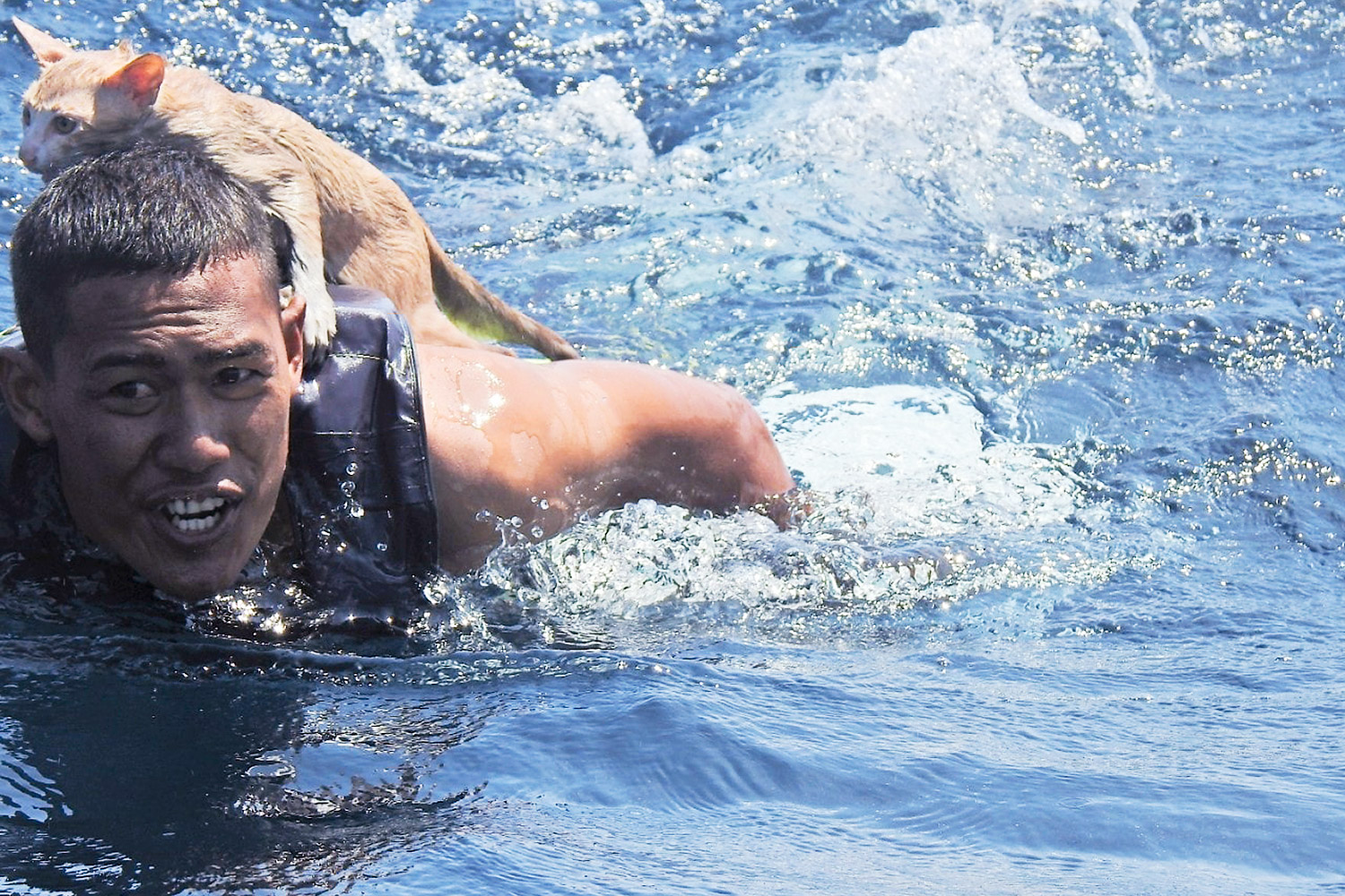 A sailor wearing a life jacket swims with a cat he rescued from a capsized fishing boat near Koh Adang in Satun earlier this week. (Ja Choen Met Sai Team Youtube : Facebook Account)