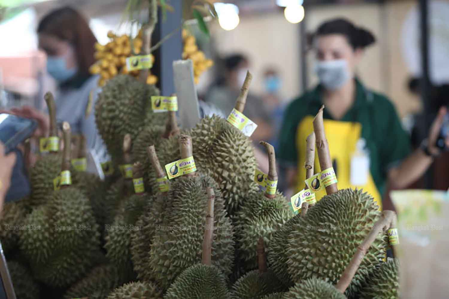 Kingdom eyes world durian title