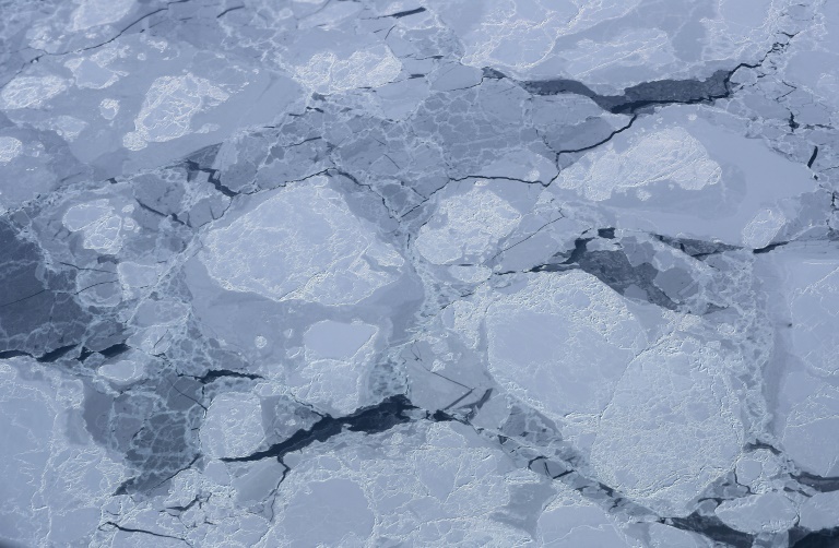 Loss of sea ice could be a factor in the unusual bowhead whale behaviour observed by scientists. Loss of sea ice could be a factor in the unusual bowhead whale behaviour observed by scientists.