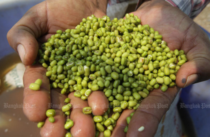 Oil giant PTT invests in plant protein to power growth - Vimarsana News