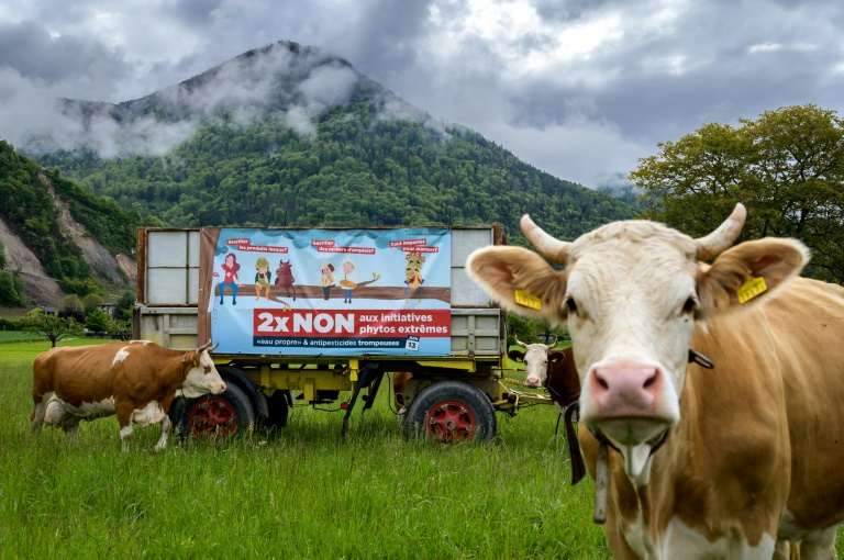 Two anti-pesticide proposals have triggered the most noise and fury ahead of Sunday's vote in Switzerland on a series of issues. Two anti-pesticide proposals have triggered the most noise and fury ahead of Sunday's vote in Switzerland on a series of issues.