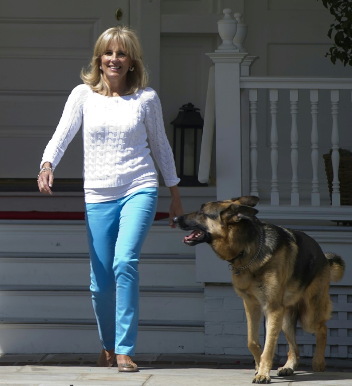 Bidens' dog Champ, 'cherished companion,' dies