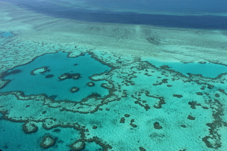 The Great Barrier Reef was worth an estimated $4 billion a year in tourism revenue for the Australian economy before the coronavirus pandemic.