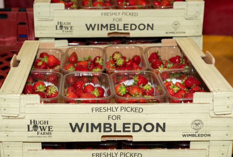 Players change, but the strawberries remain at Wimbledon