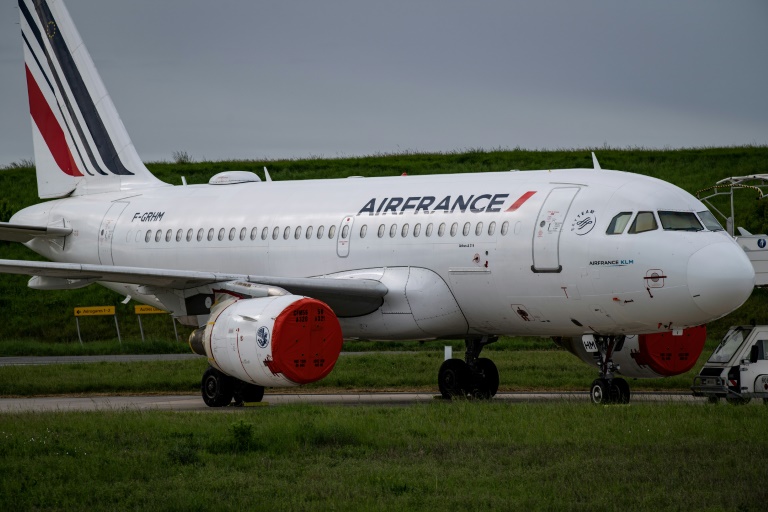 Bugs and bird nests: Airlines dust off planes grounded by Covid