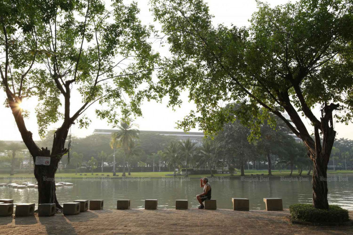 Making a push for green cover - Vimarsana News