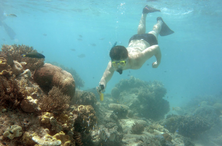 The reef has suffered three mass coral bleaching events in the past five years, by some measures losing half its corals since 1995 as ocean temperatures have climbed The reef has suffered three mass coral bleaching events in the past five years, by some measures losing half its corals since 1995 as ocean temperatures have climbed