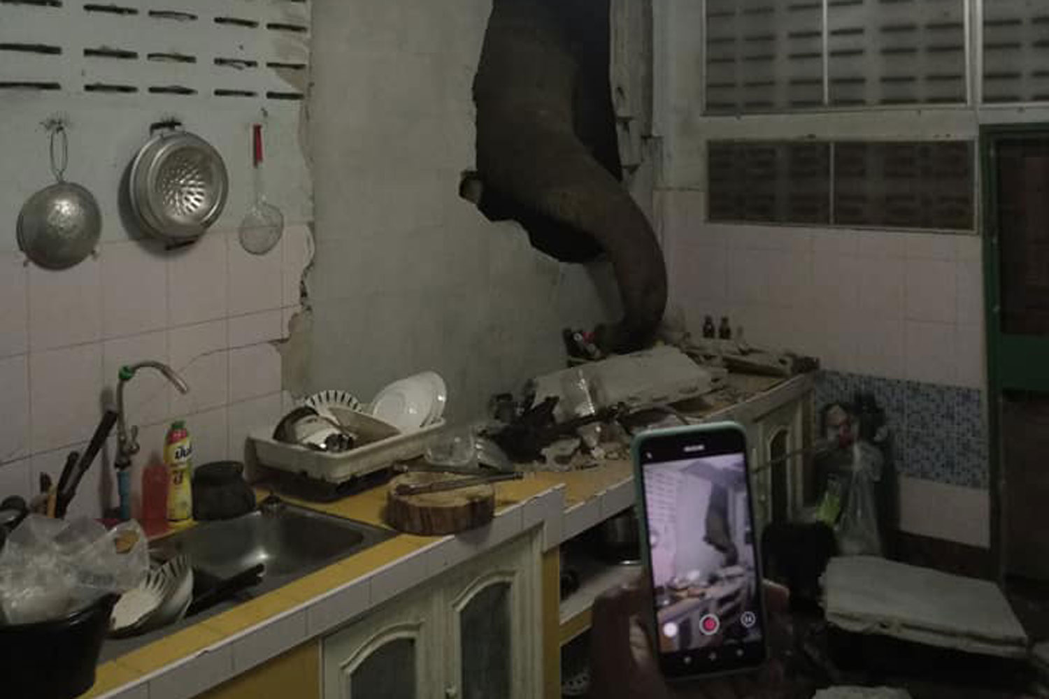 A family member in Hua Hin, Prachuap Khiri Khan, uses a mobile phone to record the second break-in by a wild elephant looking for food. The jumbo earlier raided the family's kitchen on June 20 this year. (Photo: Ratchadawan Phuengprasopporn)