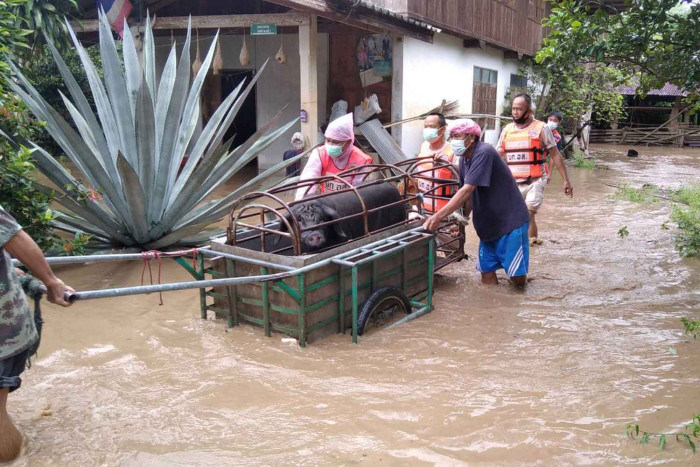 Heavy rain forecast for 22 provinces - Vimarsana News