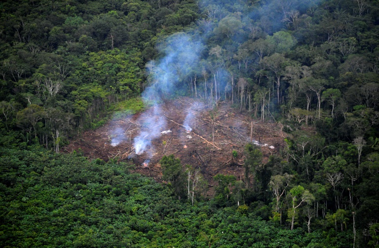 The researchers said that governments had consistently failed to address the root cause of climate change: