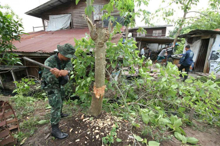 8,000 to be cleared after kratom's removal from narcotics list - Vimarsana News