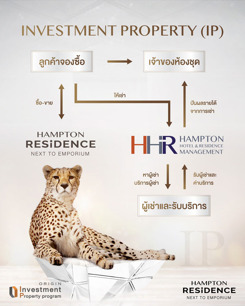 Bangkok Post Enjoy the freedom of letting your money work for you