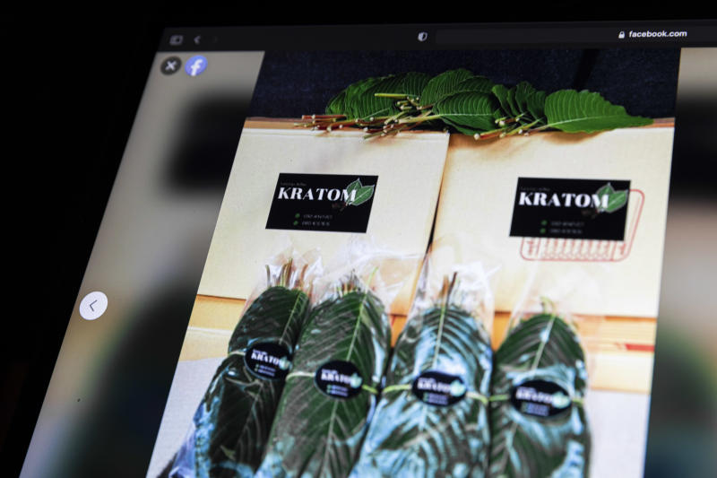 Legalisation of kratom spurs rush of online sales