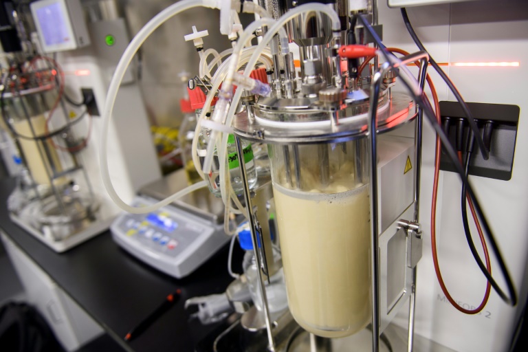 A US startup is growing nutritional pet food in a lab. A US startup is growing nutritional pet food in a lab.