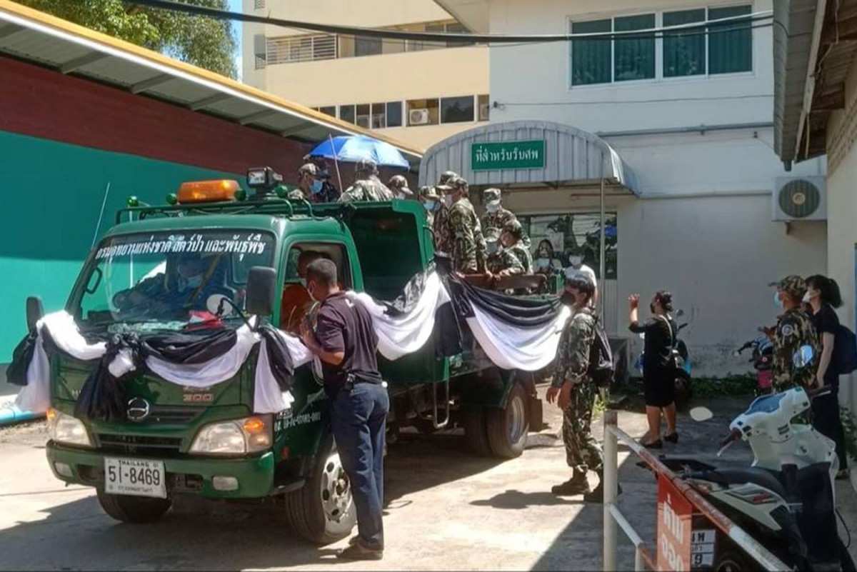 Bangkok Post - Forest ranger killed in gaur attack in Khao Yai
