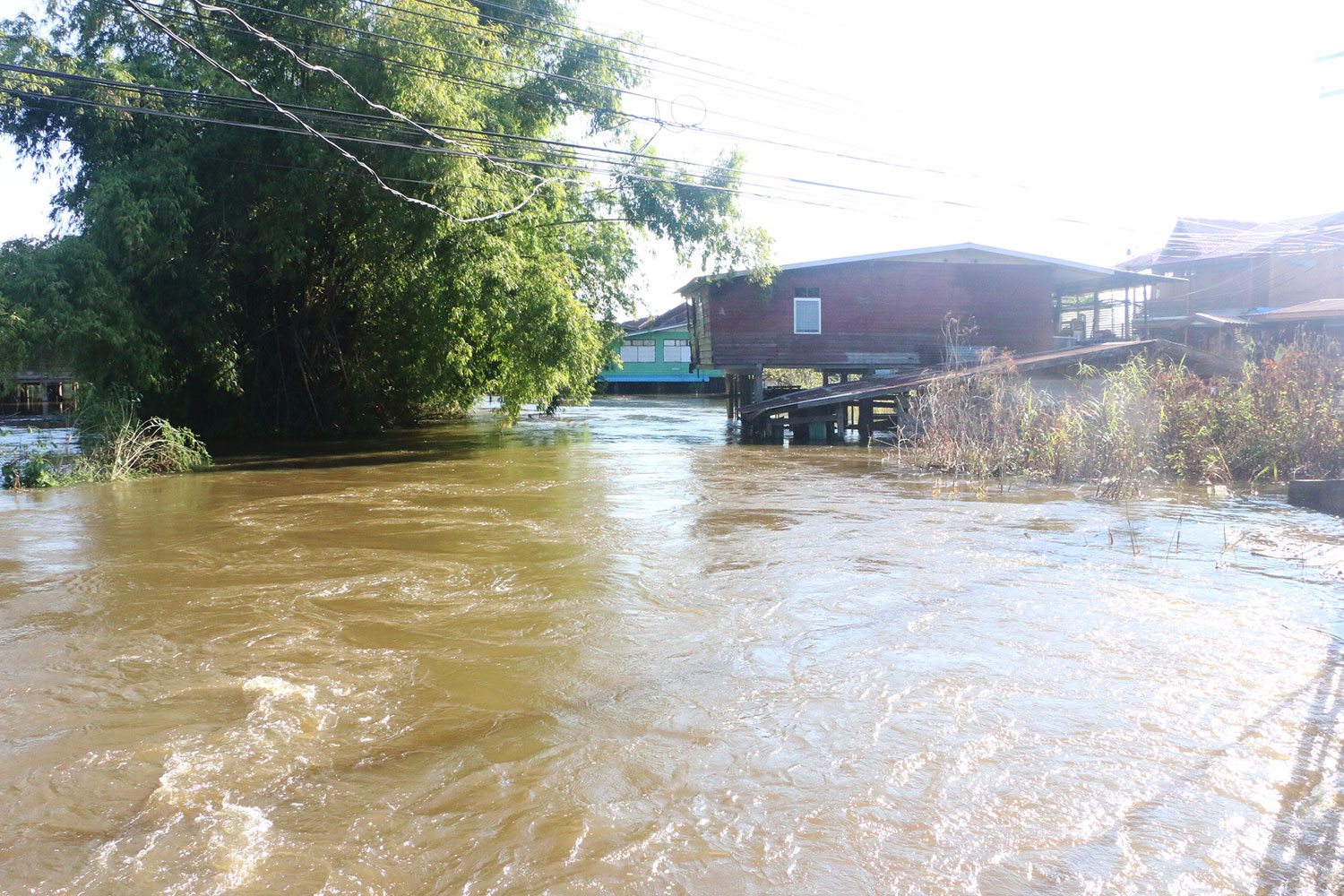 All districts in Phichit flood disaster zones