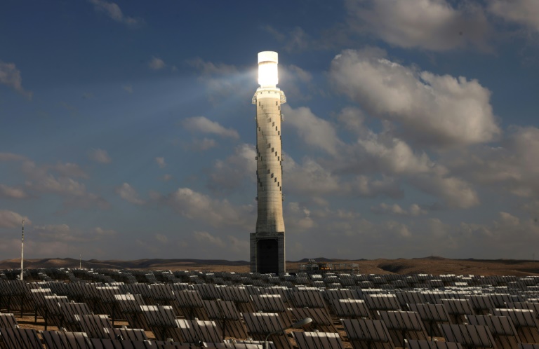 The IEA said renewables such as wind and solar energy continued to grow rapidly, but