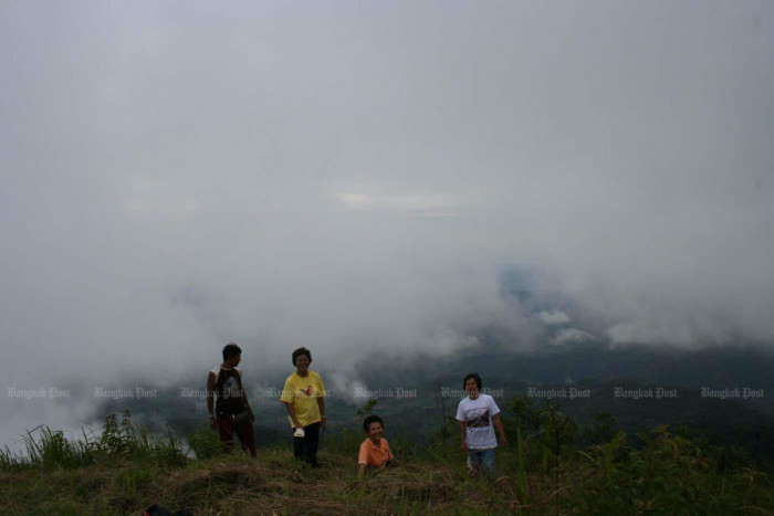 Visitors keen on park trips amid reopening - Vimarsana News