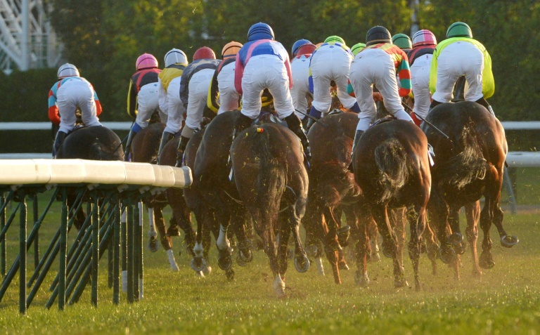 Horse racing is popular in Japan. Horse racing is popular in Japan.