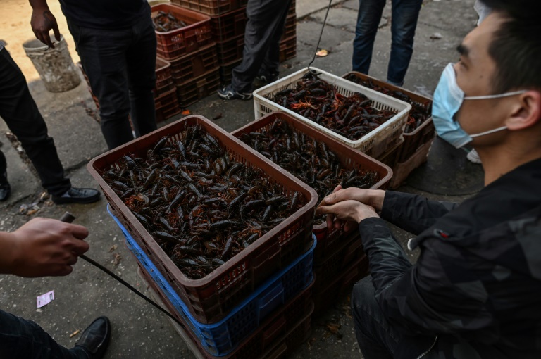 A man wearing a face mask offers prawns for sale on April 15, 2020 at the Wuhan Baishazhou Market in Wuhan in China's central Hubei province. A man wearing a face mask offers prawns for sale on April 15, 2020 at the Wuhan Baishazhou Market in Wuhan in China's central Hubei province.