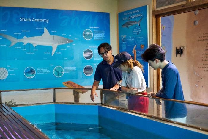 Singha Estate Collaborates with Phuket Marine Biological Center - Vimarsana News