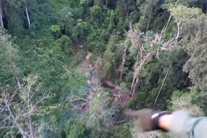 Forest ranger stabs colleague, shoots himself dead - Vimarsana News