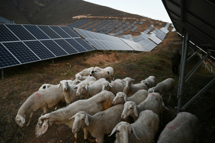 Human cost of China's green energy rush ahead of Winter Olympics - Vimarsana News