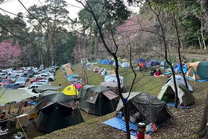 Tourists pack country's tallest peak - Vimarsana News
